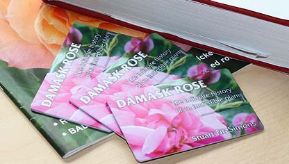 The book on a stick!